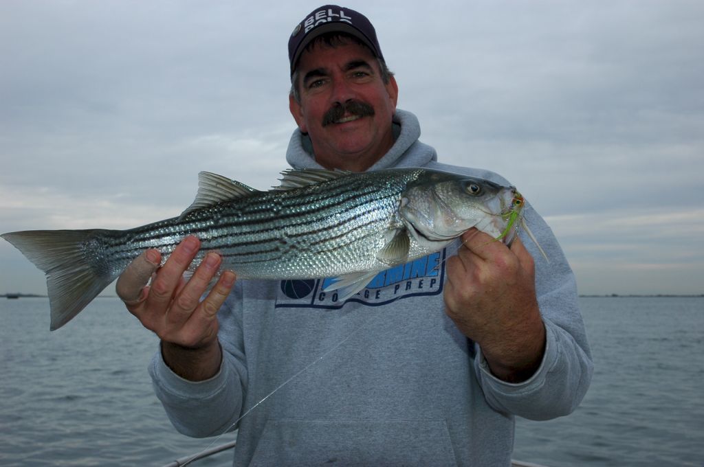striper